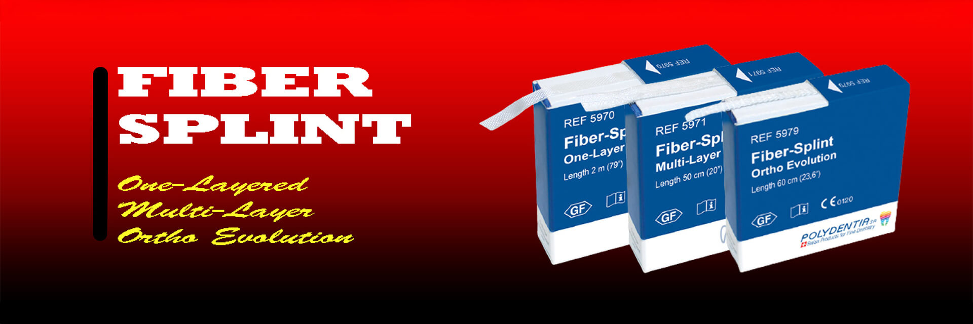 Desktop Banners_0001_banner-polydentia-update-2760x800